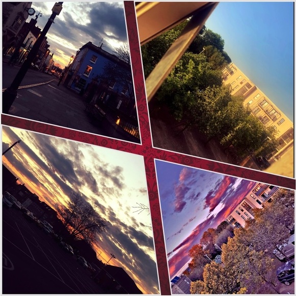 Meet your Posher, Korey - Picture 2 of 2